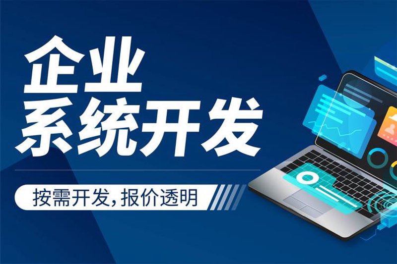 软件开发外包趋势与市场洞察